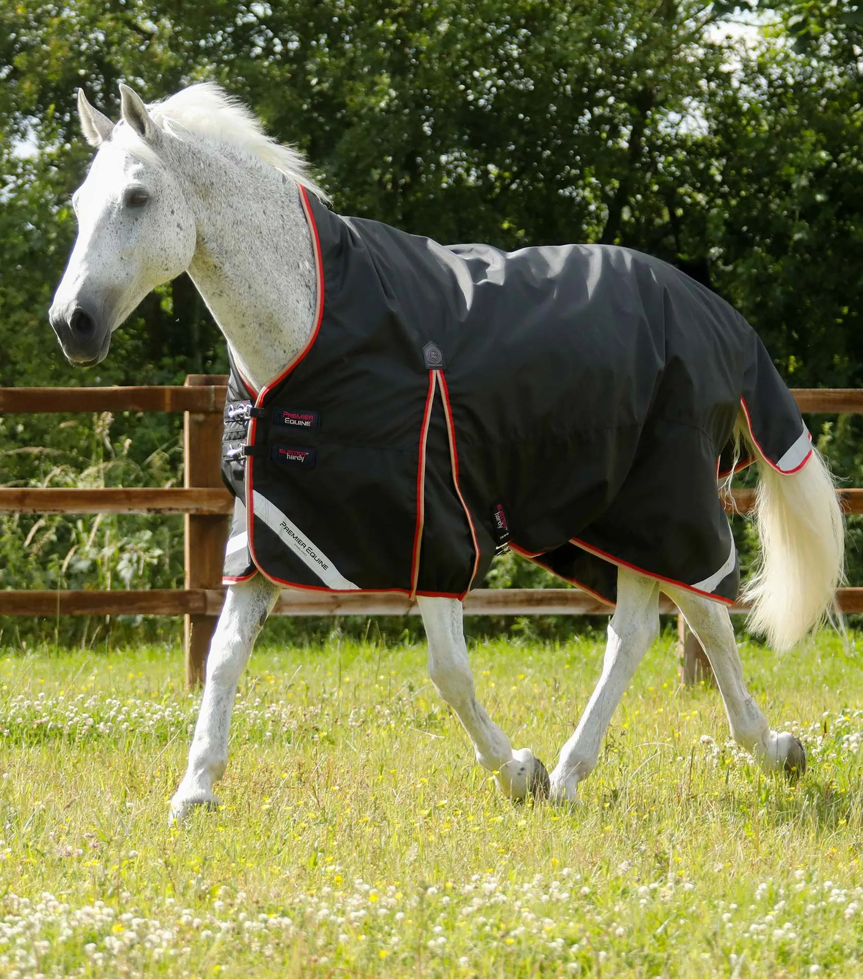 Buster Hardy 100g Half Neck Turnout Rug Black