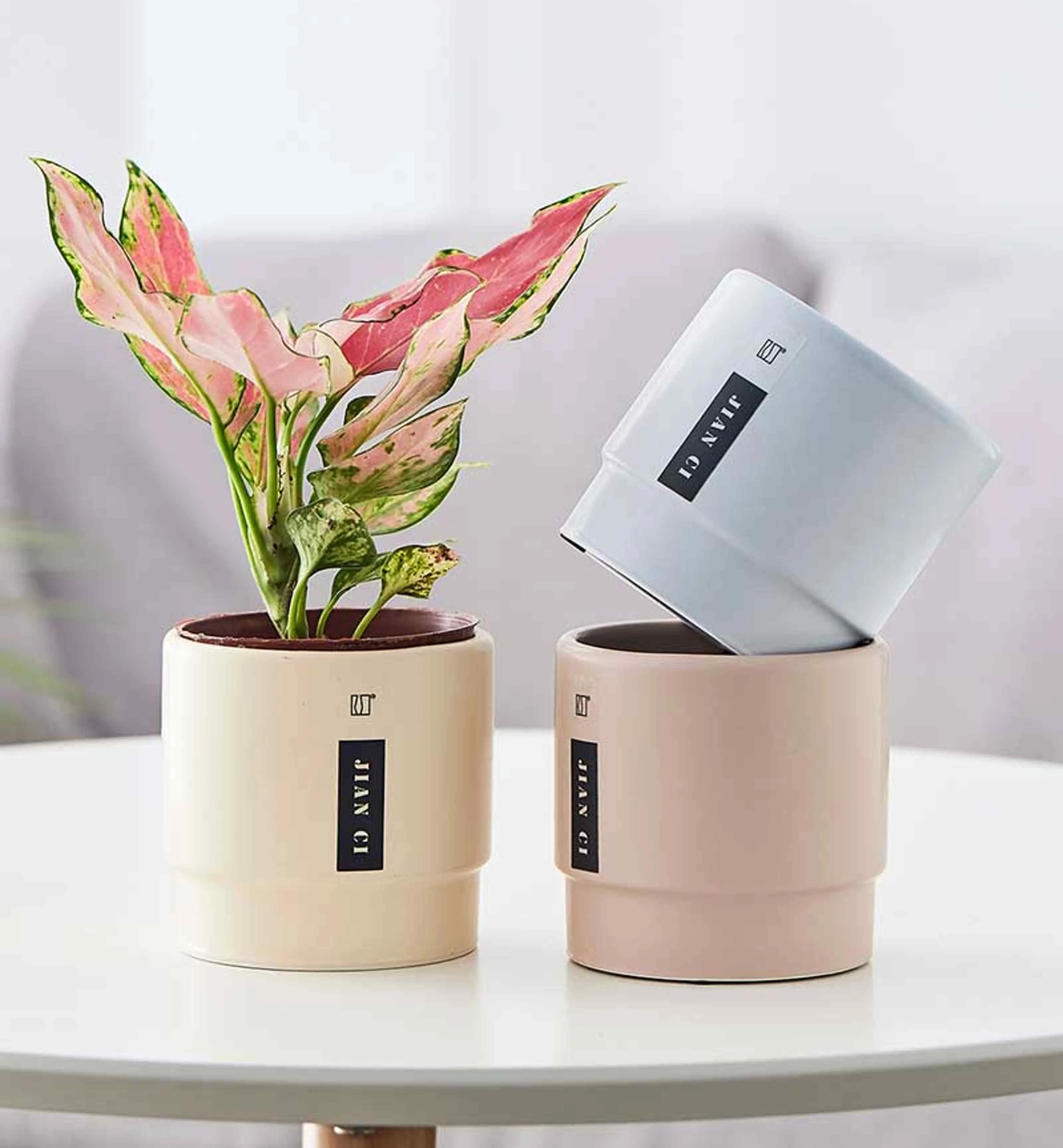 Minimalist Pastel Ceramic Planter – Single Pot for Indoor Plants