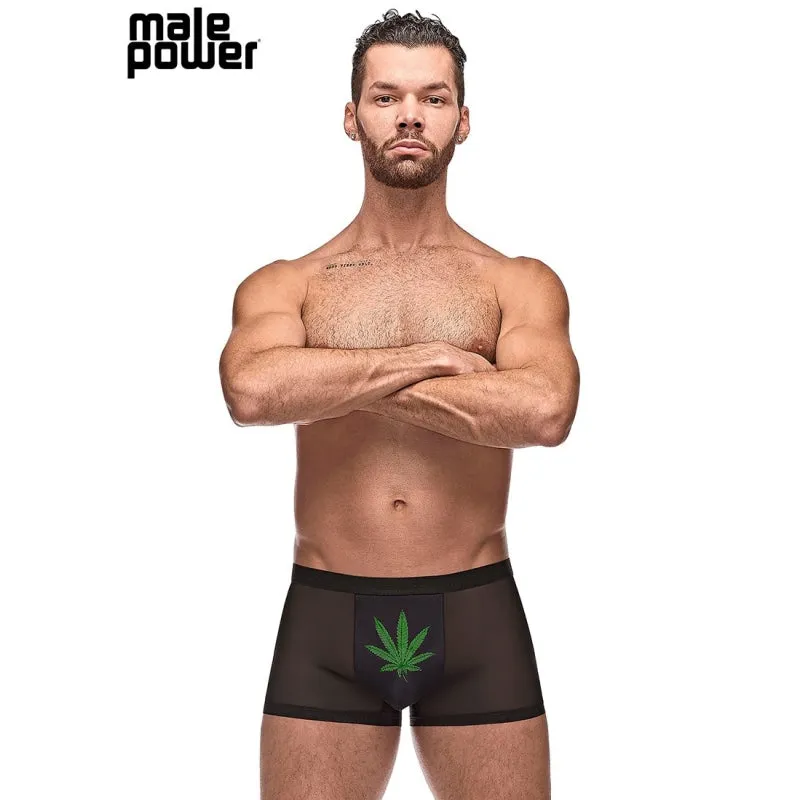 Private Screening Pot Leaf Pouch Short Black