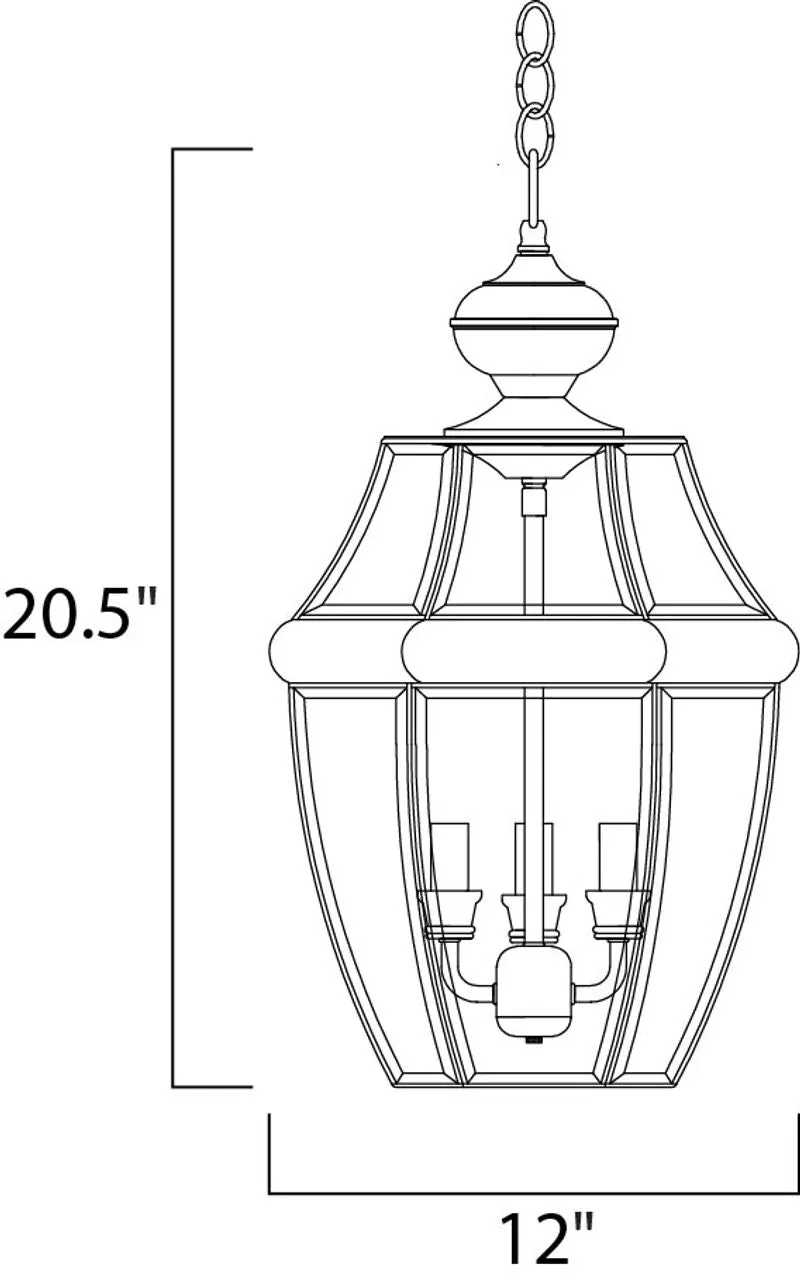 South Park 20.5" 3 Light Outdoor Hanging Lantern in Black