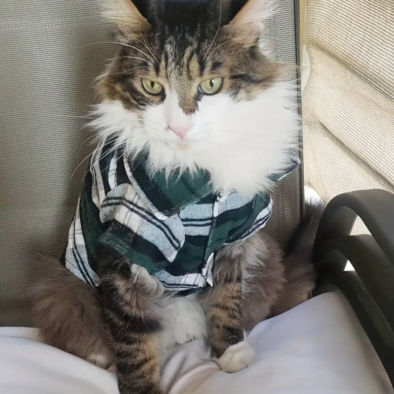 Versatile Pet Plaid Shirt Fashionable Clothing for Cats  Dogs