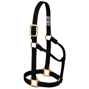 Weaver Large Horse Non-Adjustable 1" Nylon Halter