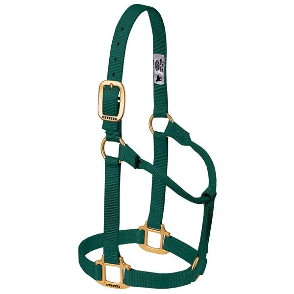 Weaver Large Horse Non-Adjustable 1" Nylon Halter