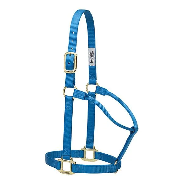 Weaver Large Horse Non-Adjustable 1" Nylon Halter