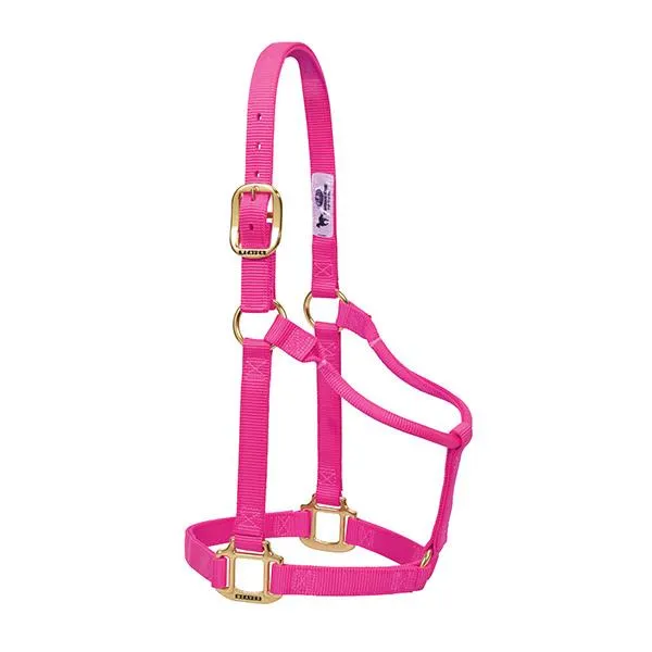 Weaver Large Horse Non-Adjustable 1" Nylon Halter