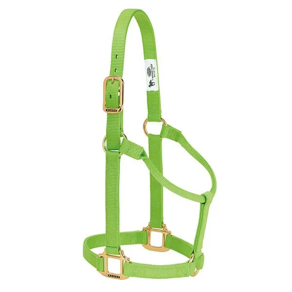 Weaver Large Horse Non-Adjustable 1" Nylon Halter