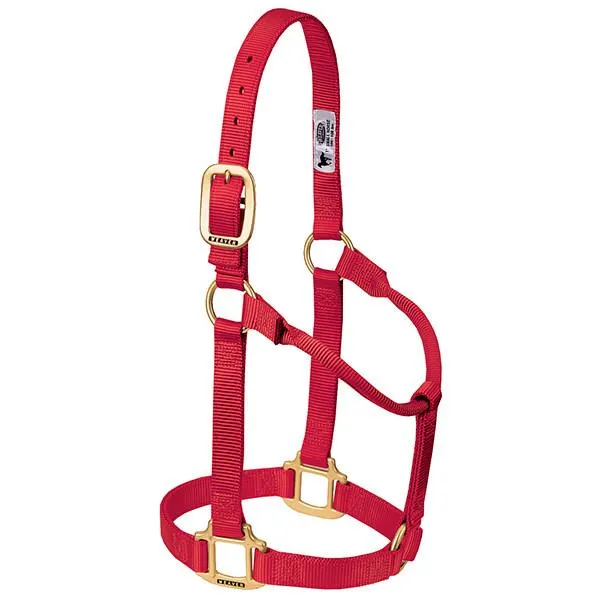 Weaver Large Horse Non-Adjustable 1" Nylon Halter