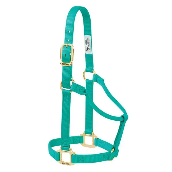 Weaver Large Horse Non-Adjustable 1" Nylon Halter