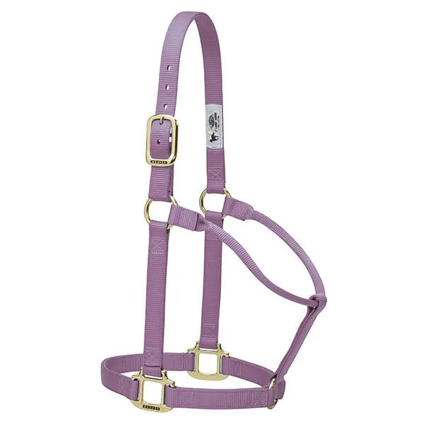 Weaver Large Horse Non-Adjustable 1" Nylon Halter