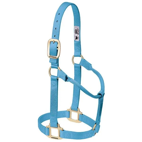 Weaver Small Horse Non-Adjustable 1" Nylon Halter