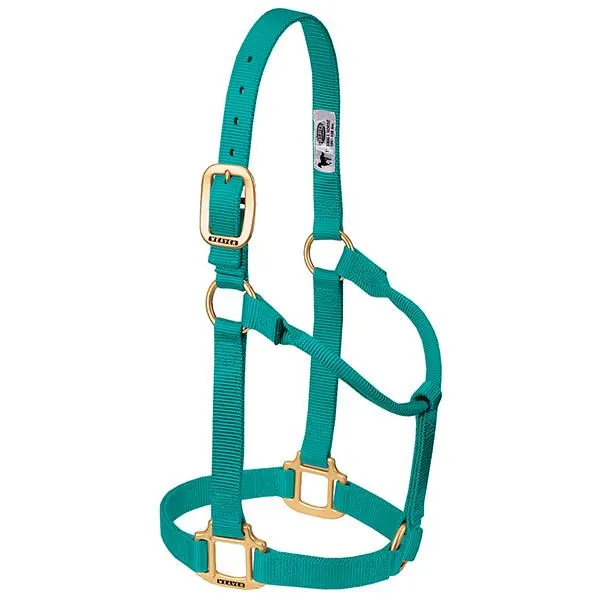 Weaver Small Horse Non-Adjustable 1" Nylon Halter